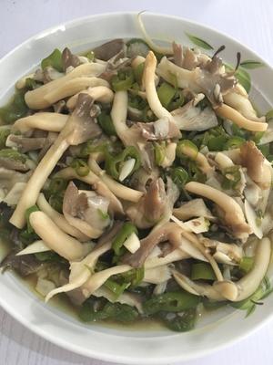 清蒸平菇