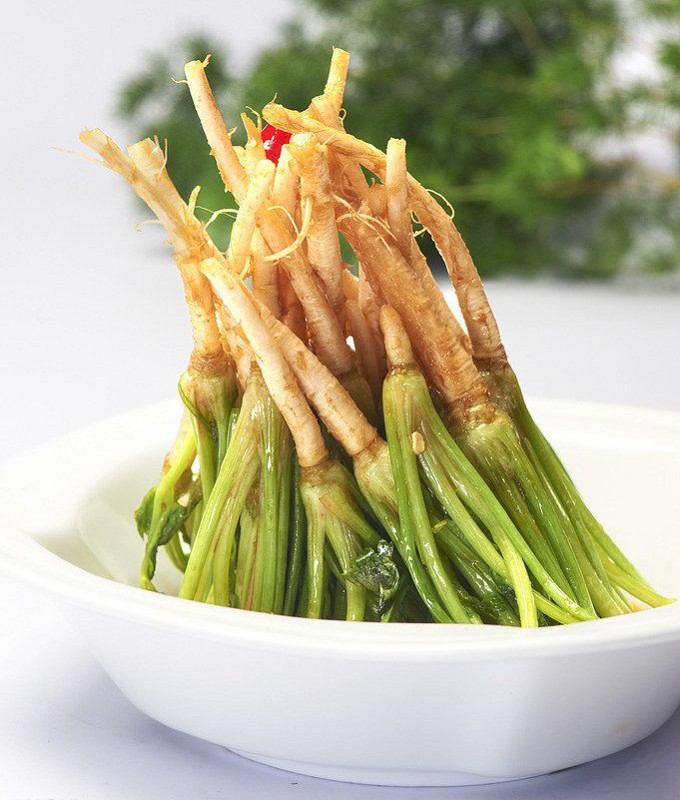 养生菜根
