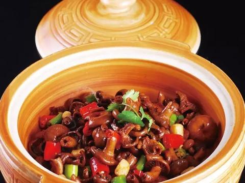 红烧寒菌