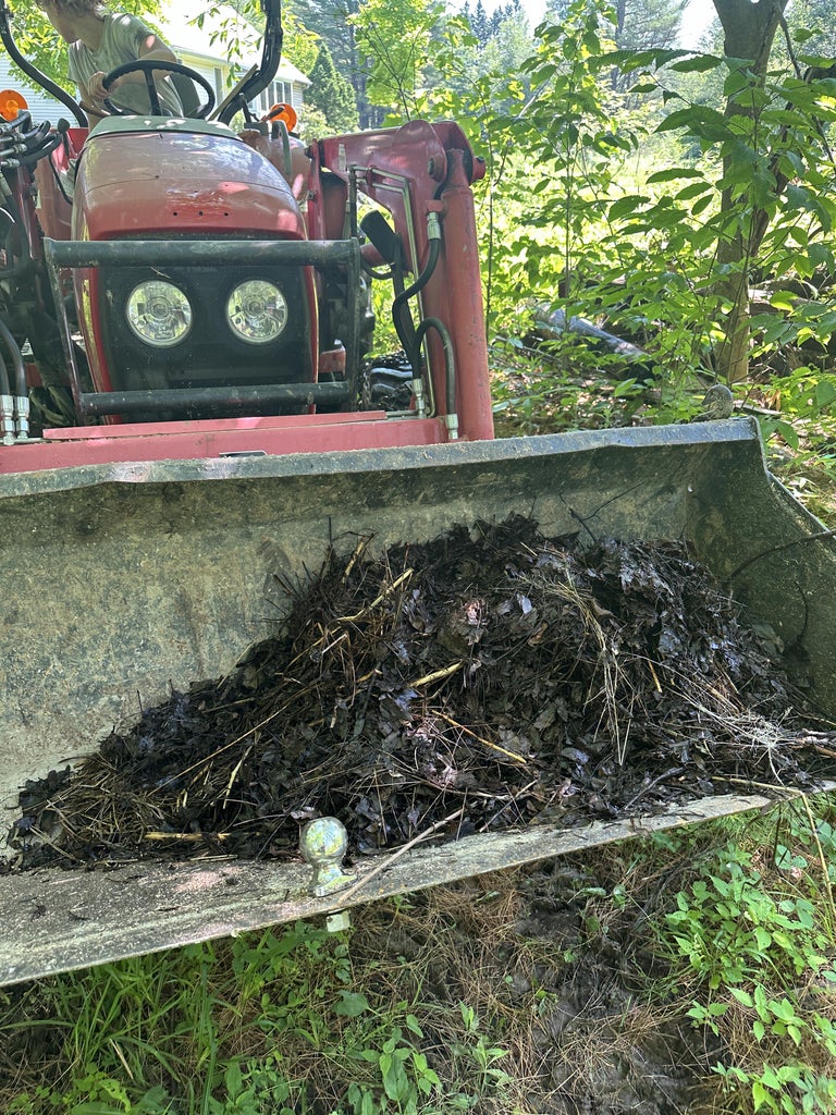 Gather Some Leaf Litter