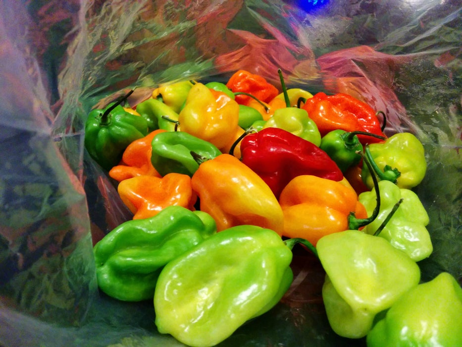 自制山核桃哈瓦那辣椒粉