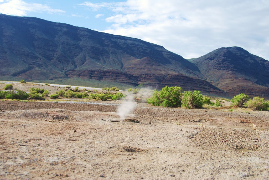 蒸汽鸡肉蔬菜串