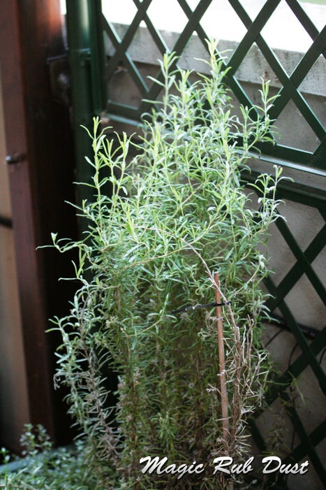 加入意式灵魂！