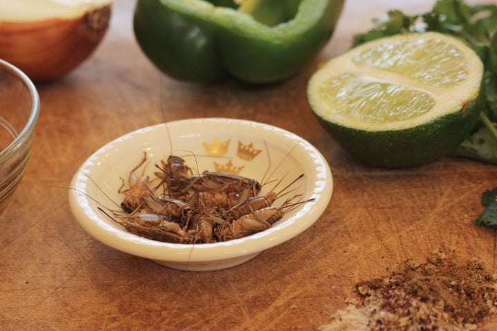 古法蟋蟀荨麻青酱