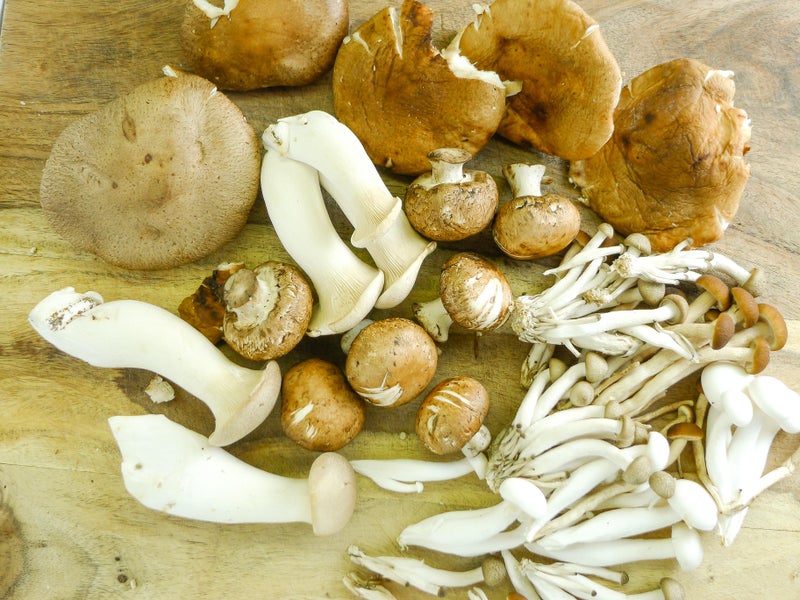 Cook the Mushrooms