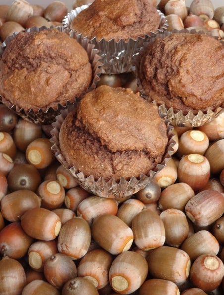 Acorns to Acorn Muffins in 1 Day!