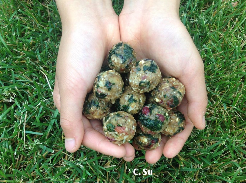 营养全面的宿舍餐球和能量棒