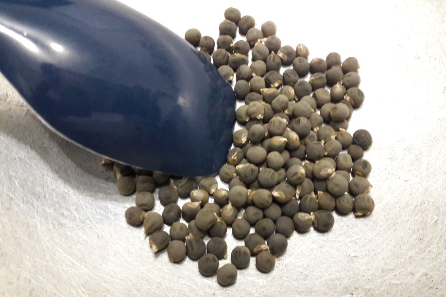 The Roasting and the Grounding