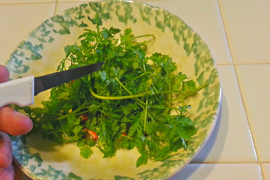 细叶芹浸渍奶油(梦奇乐 & 冷饮)