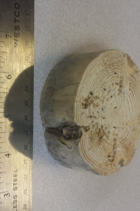 Fitting the Makineta Into the Base