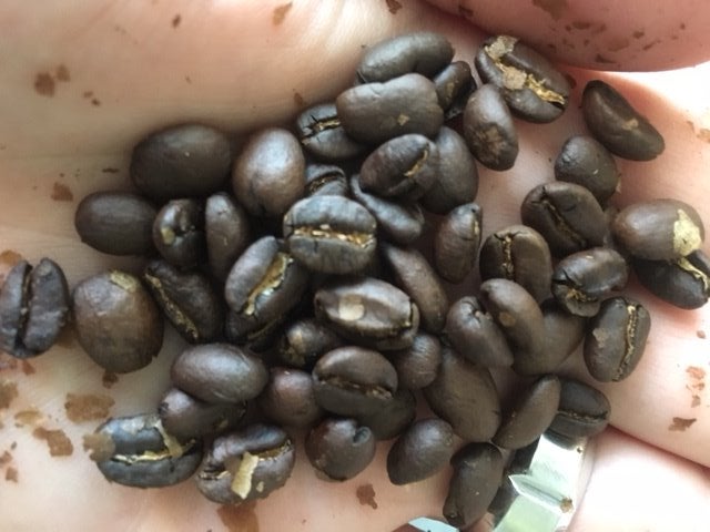 从咖啡豆到杯中咖啡