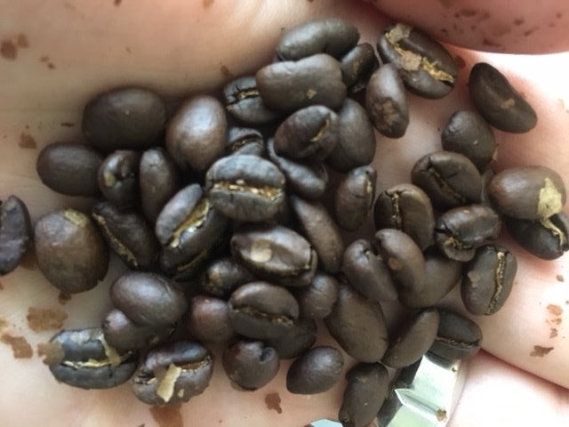 恭喜！现在冲泡吧！