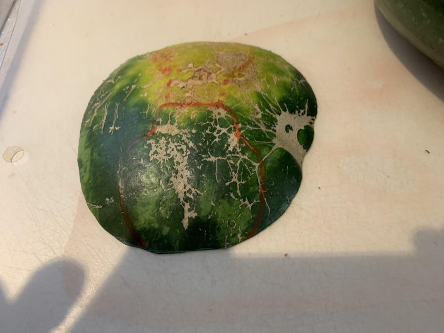 Making the Head and Hands/flippers