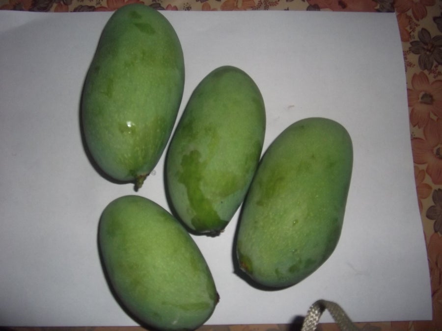 准备青芒果并清洗
