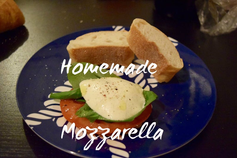 Delicious Homemade Mozzarella