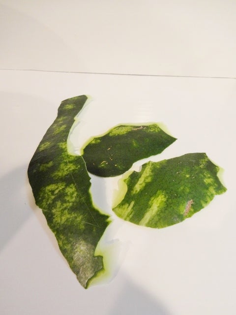 制作叶片!
