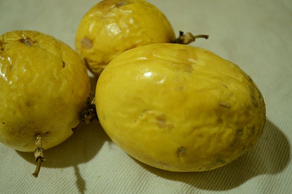 Ingredientes (Ingredients)