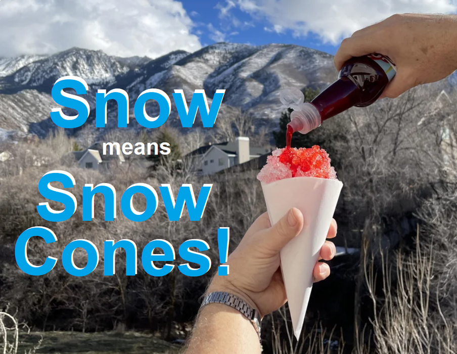 SNOW = Snow Cones & DIY Syrups