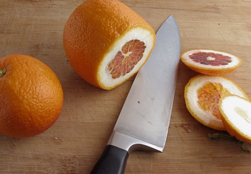 调制面糊与处理橙瓣