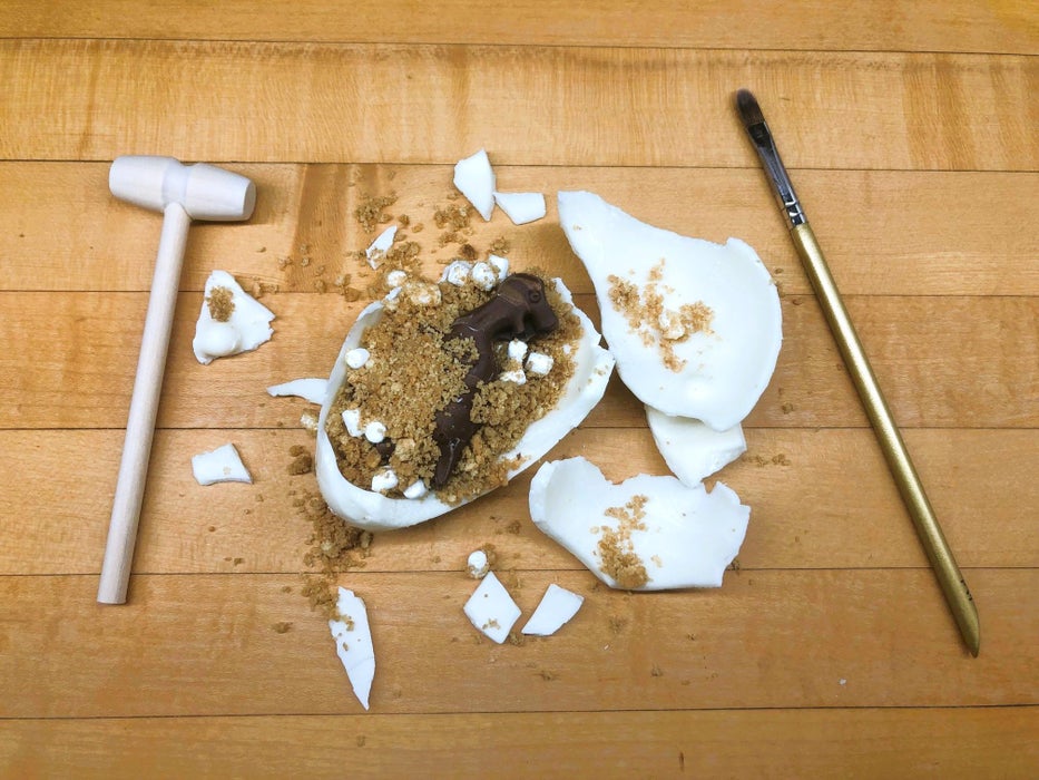 The Extinction Event