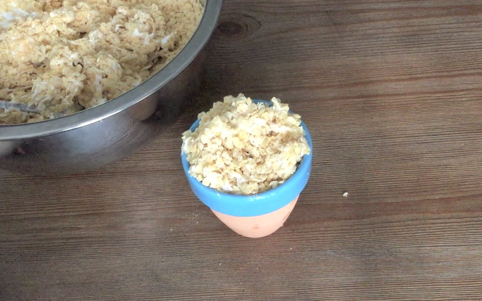 将混合物放入小型陶土花盆