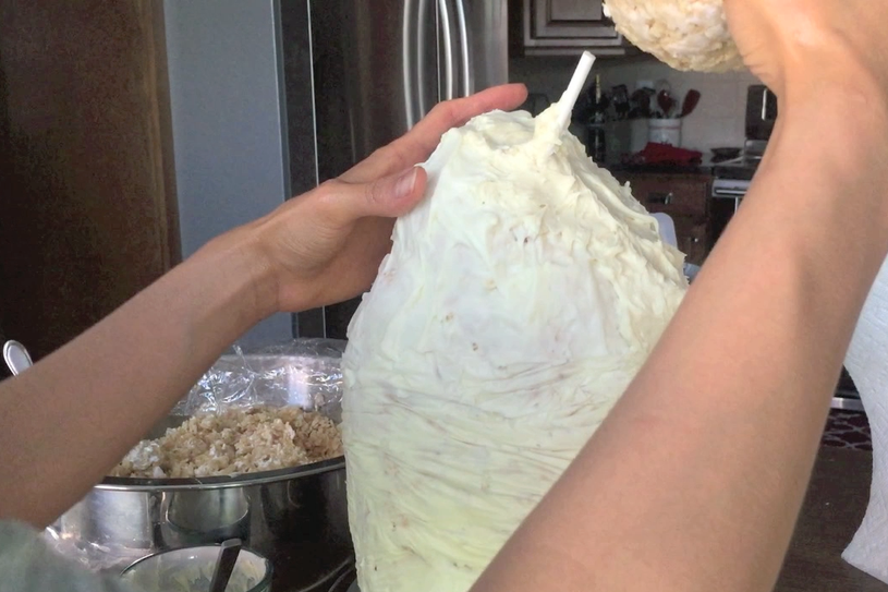 粘合球形和口鼻部