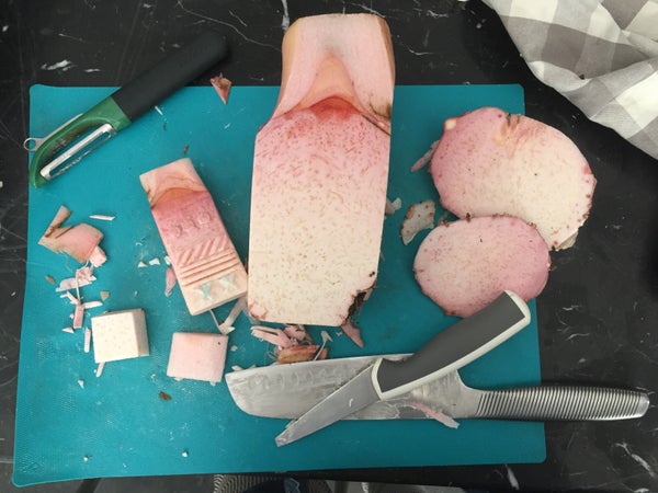 使用蔬菜制作娃娃