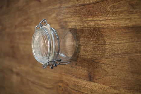 Sugar Insect Treatments!