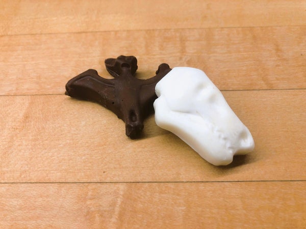 Burying Your Dinosaurs