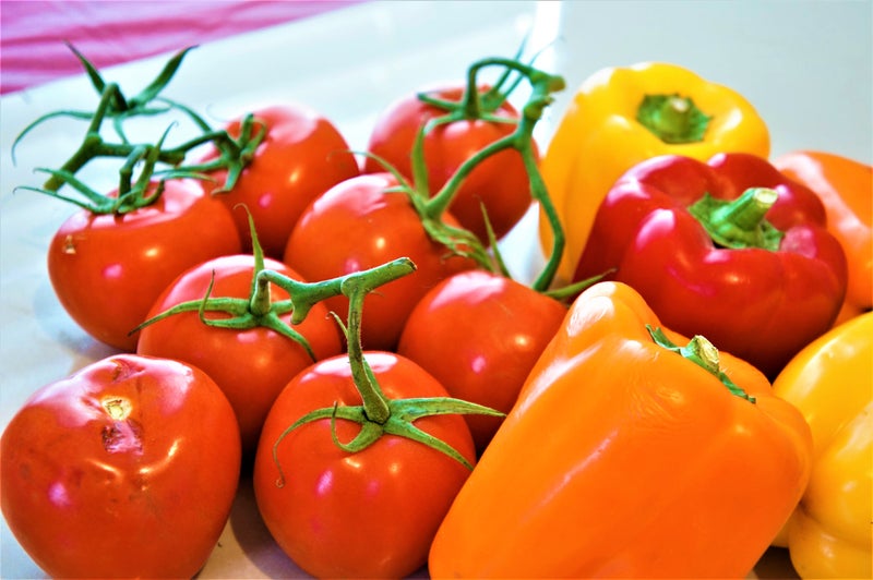 番茄辣椒去凝集素方法