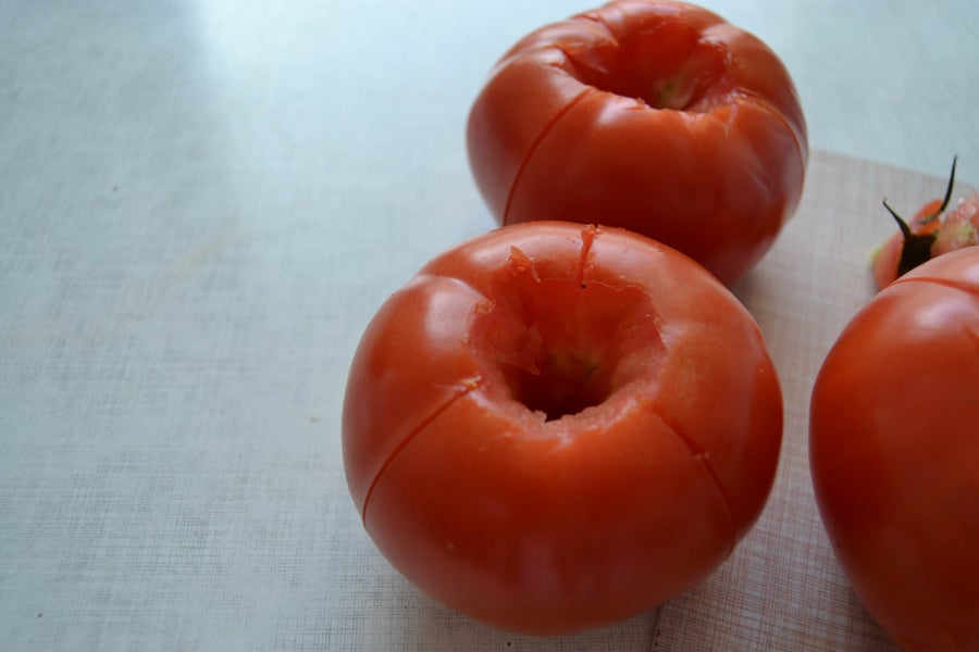 处理番茄与西瓜