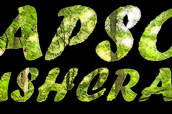 丛林面包预拌粉