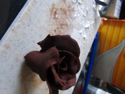 The Rose: the Next Layer