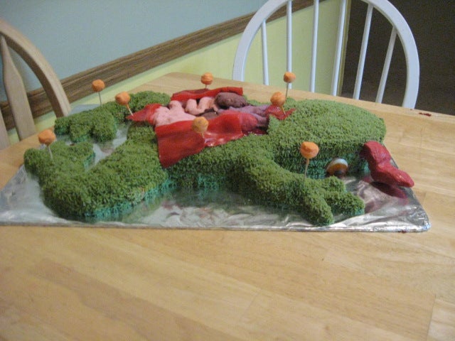 科米特青蛙解剖主题生日蛋糕