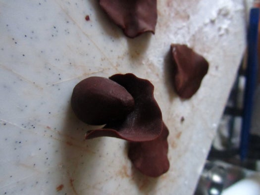 The Rose: Building Up the Layers