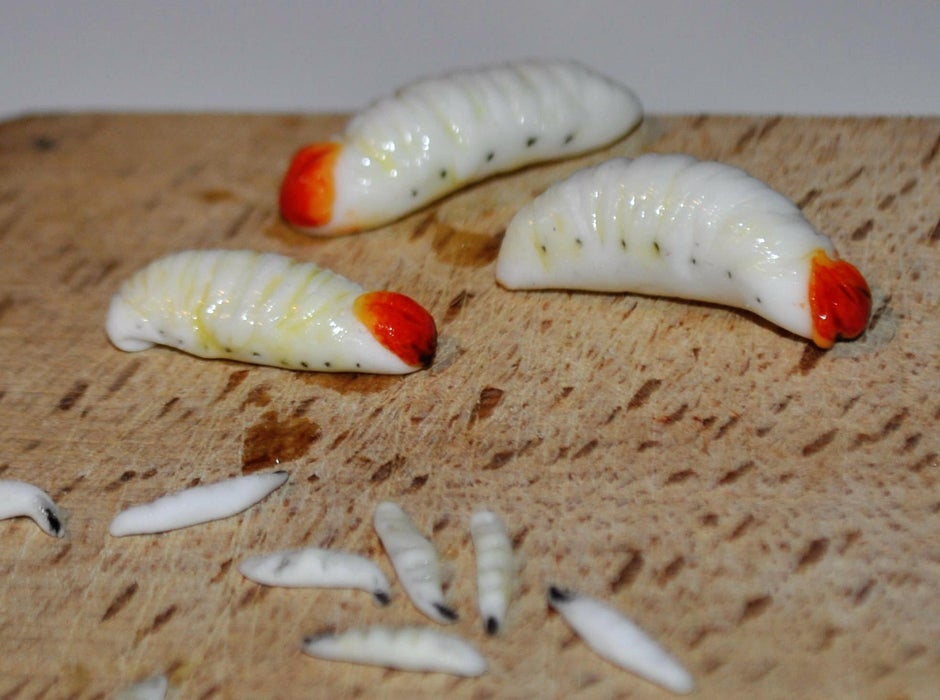 逼真蛆虫蛴螬雕塑教程