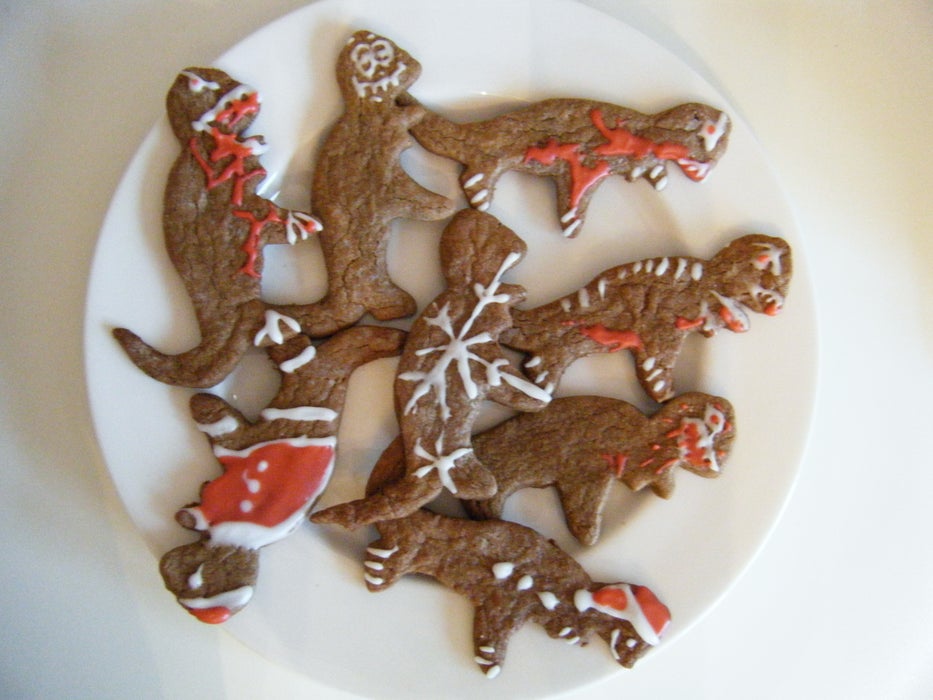 姜饼恐龙雷克斯饼干